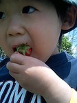 100515_1152~0001.jpg