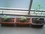100523_1008~0001.jpg