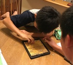 将棋.jpg