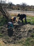 IMG_0929.jpg
