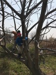 IMG_1059.jpg