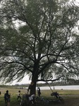 IMG_1406.jpg