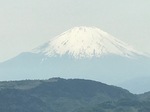 IMG_1574.jpg