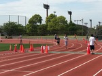 IMG_1652.jpg