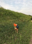 IMG_2033.jpg
