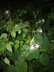 IMG_2269.jpg