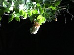IMG_2290.jpg
