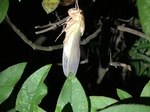 IMG_2298.jpg