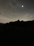 IMG_2299.jpg