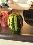 IMG_2771.jpg