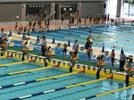 IMG_2850.jpg