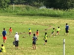 IMG_2943.jpg