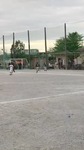 IMG_4782.jpg